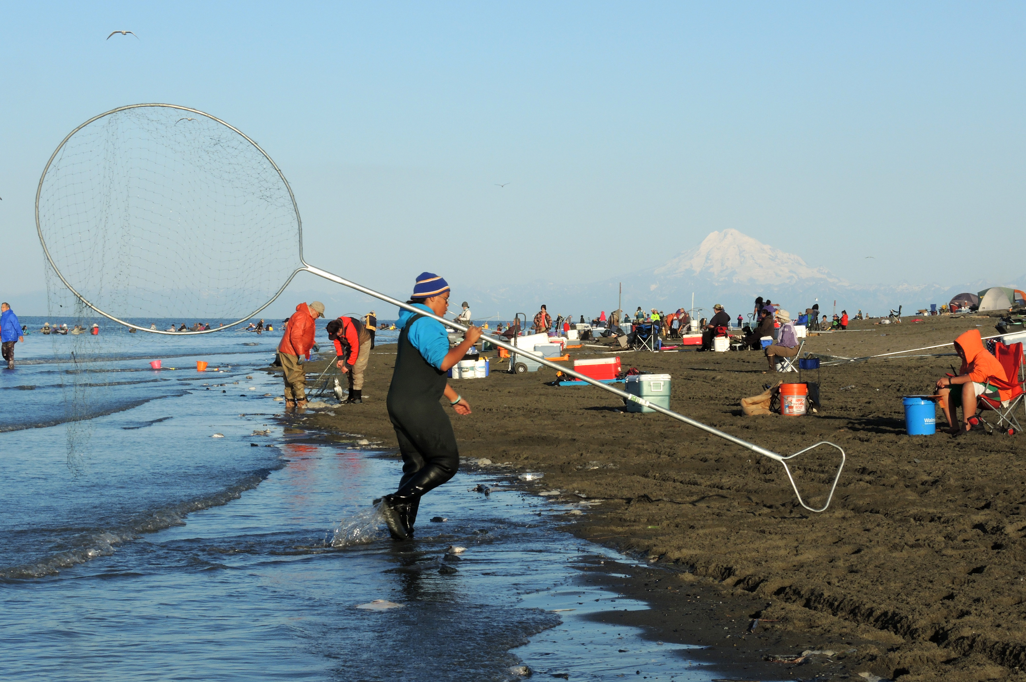 ak dip net fishing Kenai River dipnetting opens Wednesday - and fish counts are promising